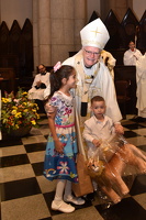 DSC 0810 foto @lucineymartins