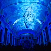 30  genesis expetaculo imersivo luzes011.jpg