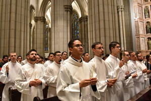 06 jubileu2025 peregrinacao seminaristas022