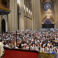 13 jubileu2025 peregrinacao coroinhas027.JPG