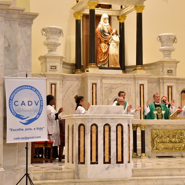 Marcha pela Vida 2025