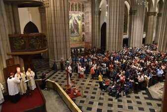 3509c700-6917-41a1-86bf-3ceaf206392f