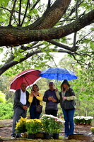 05 finados dom odilo cemiterio gethsemani003