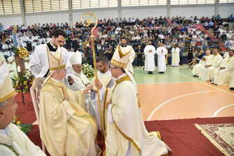 3d9305c7-1e7f-4fbf-b1d4-a17d2e4b96a9