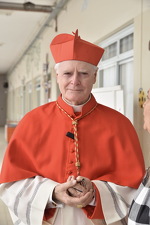 7fd1a71d-a51a-44d5-a520-c5a3ffb7fabf