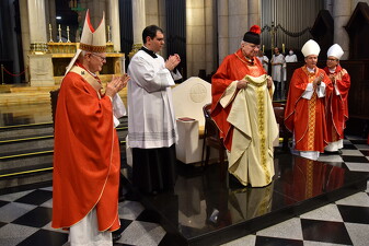 25 conego helmo 50anos sacerdocio16