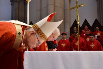 25 conego helmo 50anos sacerdocio18