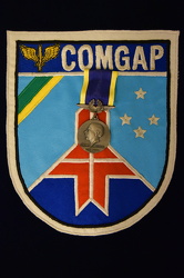 23 dom odilo aeronautica medalha santos dumont003