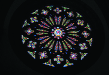 24 catedral se rosasea01