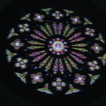 24 catedral se rosasea01.jpg