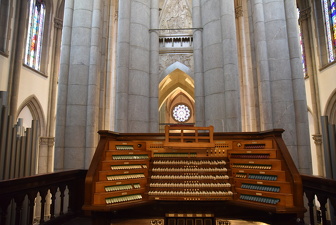 Catedral da Sé - Foto 182