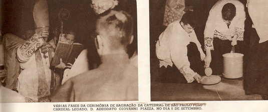 Catedral da Sé - Foto 206