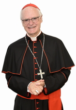 Cardeal Odilo Pedro Scherer - Foto 257