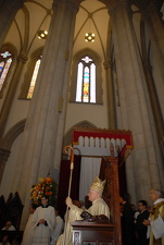 Cardeal Odilo Pedro Scherer - Foto 331