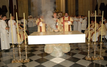 Cardeal Odilo Pedro Scherer - Foto 340