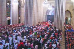 24112008 dom odilo missa um ano cardinalato foto Helel Ueno01