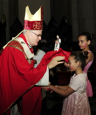 Cardeal Odilo Pedro Scherer - Foto 388