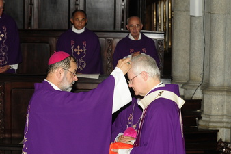 Cardeal Odilo Pedro Scherer - Foto 410