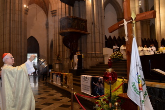 Peregrinação Jubilar do Vicariato Episcopal para a Pastoral da Saúde e dos Enfermos - Foto 637