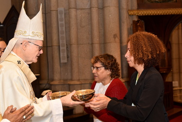 DSC 0773 foto @lucineymartins