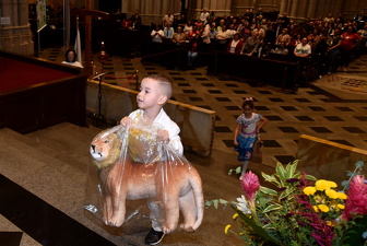 Peregrinação Jubilar da Pastoral do Menor - Foto 846