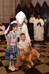 DSC 0809 foto @lucineymartins