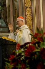 300 anos do Santuário Bom Jesus de Pirapora - Foto 1038