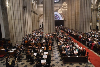Solenidade da Assunção da Bem-Aventurada Virgem Maria - Foto 1249