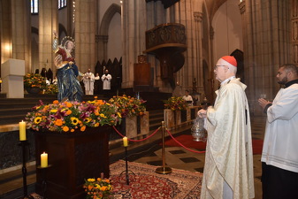 Solenidade da Assunção da Bem-Aventurada Virgem Maria - Foto 1262