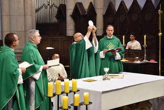 Peregrinação Jubilar da Pastoral Familiar - Foto 1281