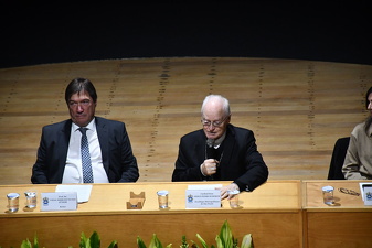 Título de Professor Emérito ao Professor Dr. Luiz Alberto David Araújo - Foto 1373