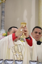 Encerramento do Ano Santo 2025 na Região Episcopal Belém - Foto 3206