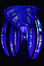 Luminiscence na Catedral da Sé - Foto 3542