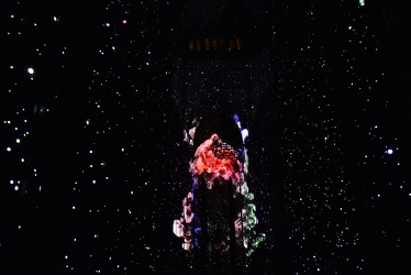 19 luminiscence catedral034