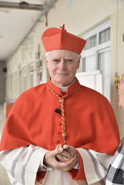 7fd1a71d-a51a-44d5-a520-c5a3ffb7fabf