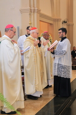 Ordenação Episcopal de Monsenhor Celso Alexandre - Foto 3932