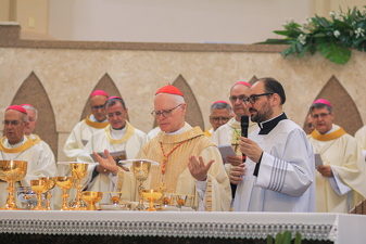 Ordenação Episcopal de Monsenhor Celso Alexandre - Foto 4010