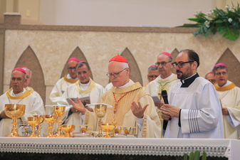 Ordenação Episcopal de Monsenhor Celso Alexandre - Foto 4011