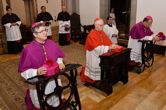 Missa de Posse no Ofício dos novos Bispos Auxiliares - Foto 4210