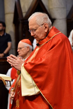 25 conego helmo 50anos sacerdocio03