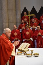 50 anos de Ordenação Presbiteral do Cônego Helmo Cesar Faccioli - Foto 4262