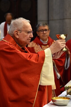 25 conego helmo 50anos sacerdocio09