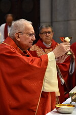 50 anos de Ordenação Presbiteral do Cônego Helmo Cesar Faccioli - Foto 4264