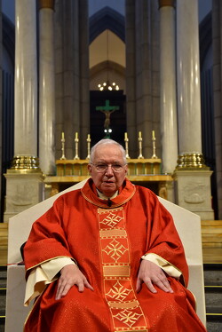 25 conego helmo 50anos sacerdocio14