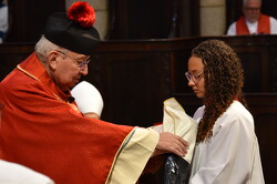 25 conego helmo 50anos sacerdocio15