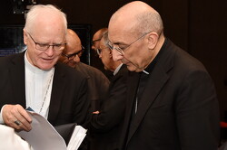 18 cardeal baldassare reina pastoal familiar009