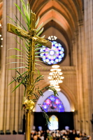 9a4dfe2e-d4b7-4bba-bebc-a4326fccab0b