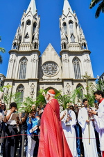 Domingo de Ramos da Paixão do Senhor - Foto 4536