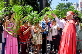 Domingo de Ramos da Paixão do Senhor - Foto 4537