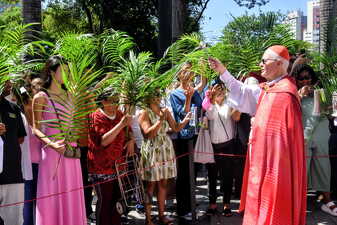 Domingo de Ramos da Paixão do Senhor - Foto 4539